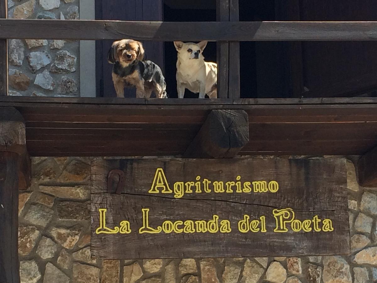 La Locanda Del Poeta Acri Экстерьер фото
